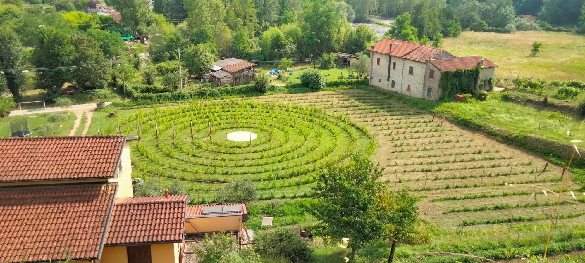 Agriturismo Il Poderetto Bauernhof Licciana Nardi