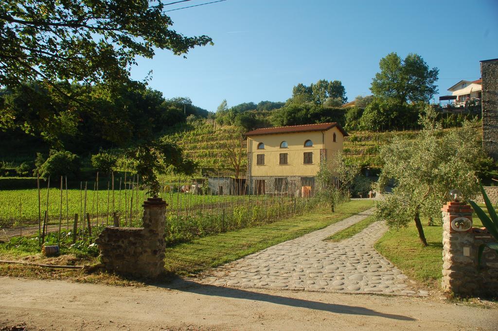 Agriturismo Il Poderetto Bauernhof
